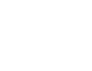 New Dawn Games